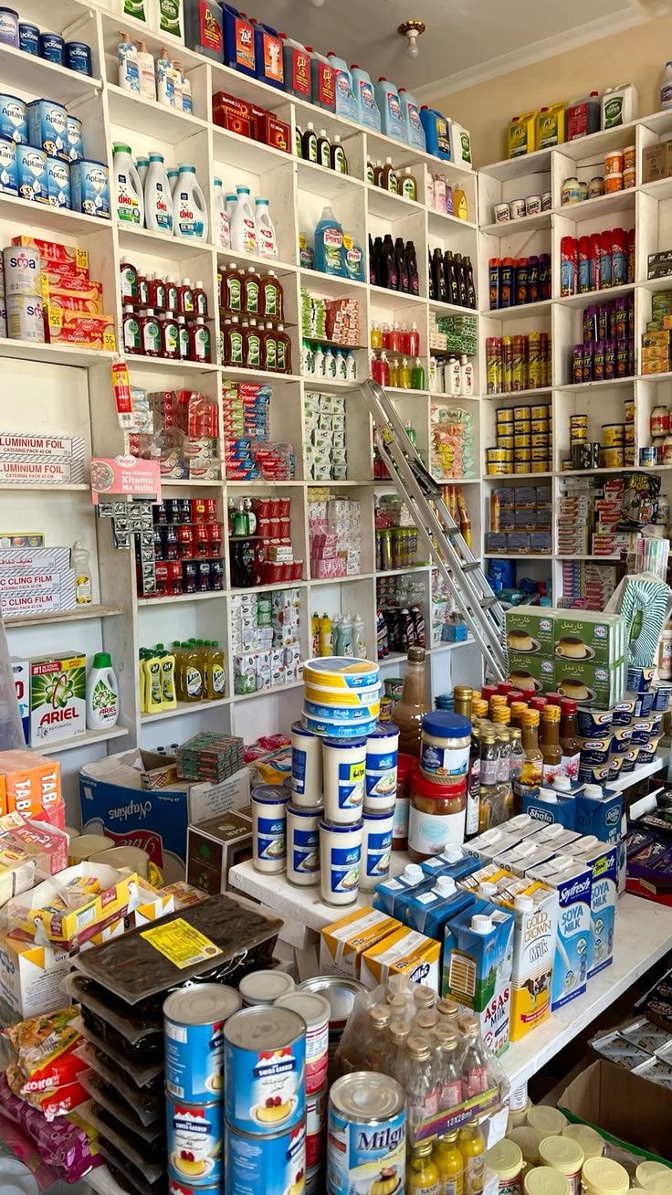 Une boutique d'alimentation générale aux étagères pleines du sol au plafond